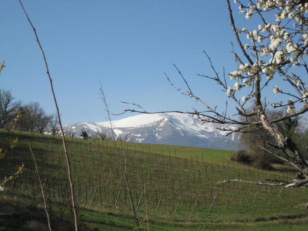 Agriturismo Spa Serpanera 萨尔纳诺 外观 照片