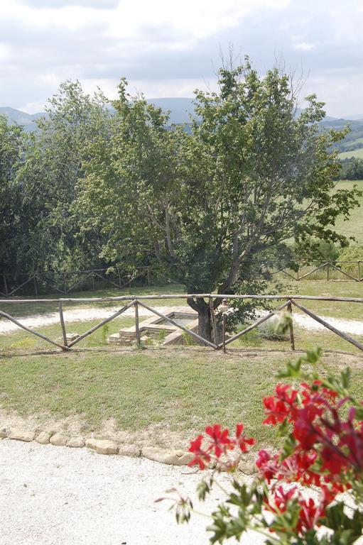 Agriturismo Spa Serpanera 萨尔纳诺 外观 照片